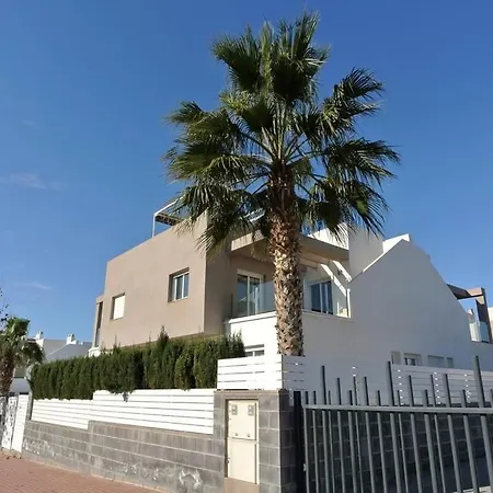 Homely Sector Xxv * Torrevieja